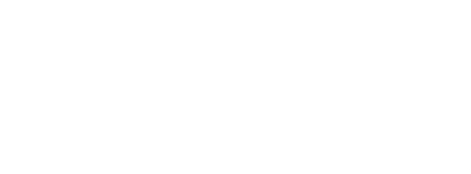 bfm-logo bfm-logo